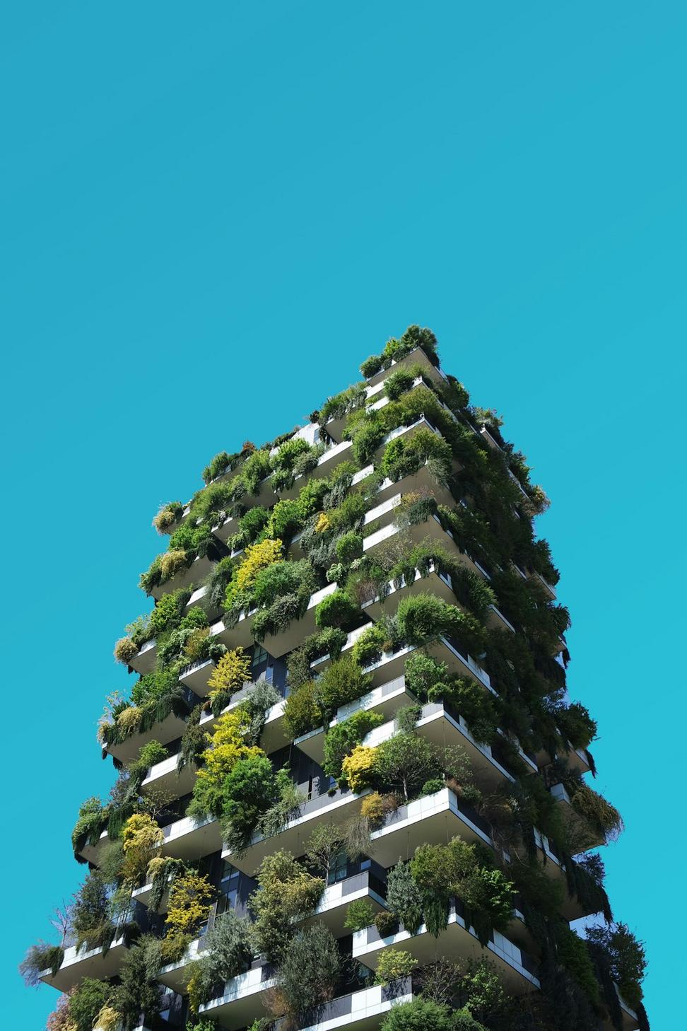 Eco Building